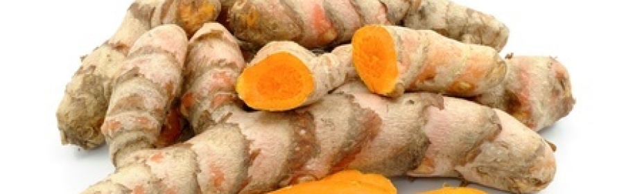 שורש הכורכום, ממנו מפיקים את הכורכומין